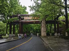 -杭州植物园