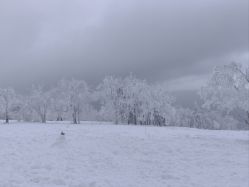 -大秃顶子山(雪谷店)