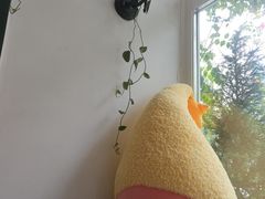 -懒人盐府人家·自贡大麻鱼(安贞店)
