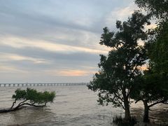 -宝安西湾红树林湿地公园