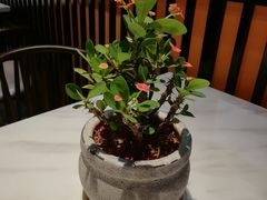 -老廣糖水铺(乐汇城店)