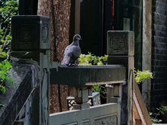 -大妙火锅·非物质文化遗产(东湖公园店)