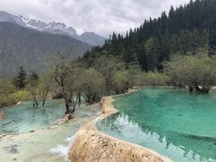 -黄龙山原始森林景区