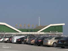 -大鹿岛