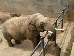 -西霞口神雕山野生动物世界