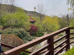 -大连植物园
