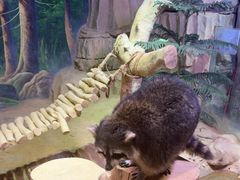 -正佳雨林生态植物园