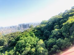 -金鸡山公园