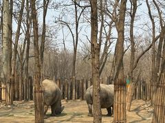 -北京野生动物园