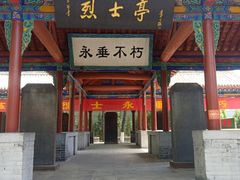 -大槐树寻根祭祖园