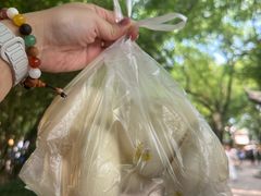 -西园寺素食(西园弄戒幢律寺店)