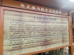 -太阳宫公园