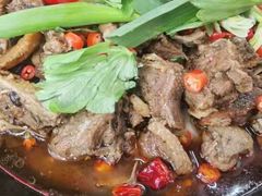 -顺德公美食(西乡店)