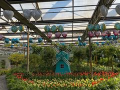 -南宫五洲植物乐园