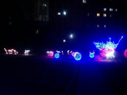 -郑州市世纪公园