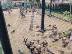 -武汉动物园