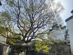 -丝绸小镇荻港古村