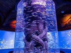 -哈尔滨波塞冬海底世界