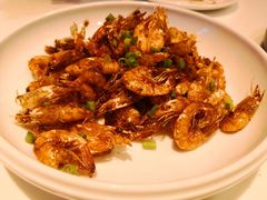本帮油爆虾-金鼎轩(亚运村店)