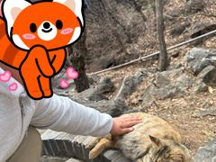 -红螺寺