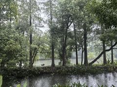 -东湖落雁景区