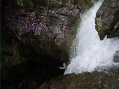 -宁波五龙潭景区