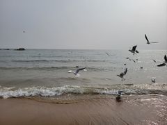 -老虎石海上公园