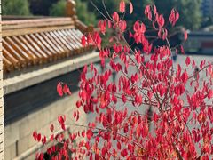 -伪满皇宫博物院