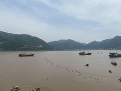 -北岐滩涂