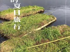-腾冲北海湿地