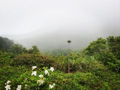 -梧桐山风景名胜区