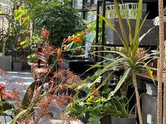 -北马山庄植趣咖啡