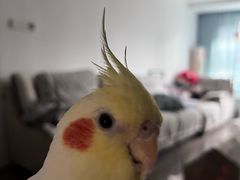 -黄记煌三汁焖锅(新佳丽江汉路店)