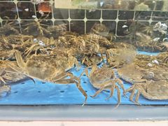 -川骄海鲜自助(王府井奥莱UP TOWN店原世界之花店)