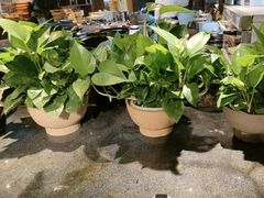 -老灶房-四川土菜(开元店)