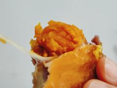 -同济大学(嘉定校区)