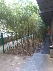 -北京英煌医疗美容