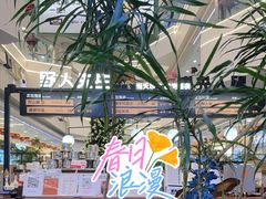 -野人先生Gelato(上海长宁龙之梦店)