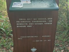 -华侨城湿地公园