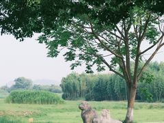 -良渚古城遗址公园