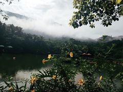 -呀诺达热带雨林