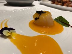 俄罗斯皇室带子-波特曼西餐厅(南岗店)