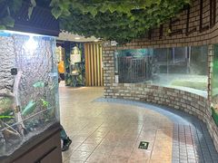 -上海大自然野生昆虫馆