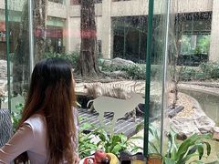 -白虎自助餐厅·真老虎·景观自助餐厅(广州长隆酒店)