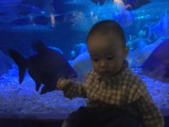 -成都浩海立方海洋公园