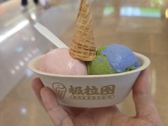 -极拉图·现制冰淇淋(大卫城店)