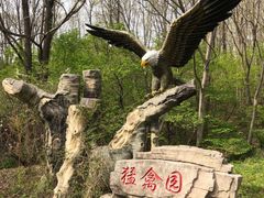 -哈尔滨北方森林动物园