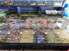 -明记海鲜大排档(巽寮湾店)