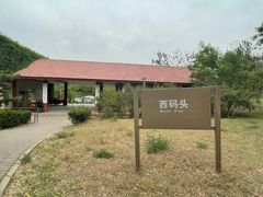 -大兴滨河森林公园