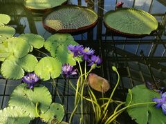 -国家植物园南园